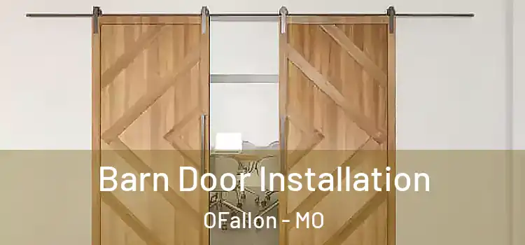 Barn Door Installation OFallon - MO