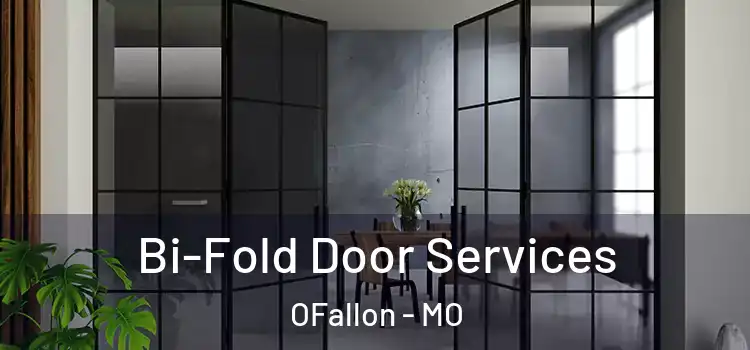  Bi-Fold Door Services OFallon - MO
