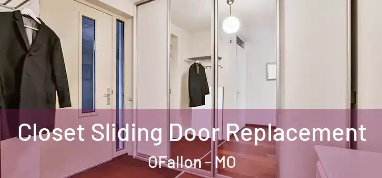  Closet Sliding Door Replacement OFallon - MO