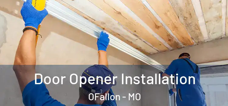  Door Opener Installation OFallon - MO