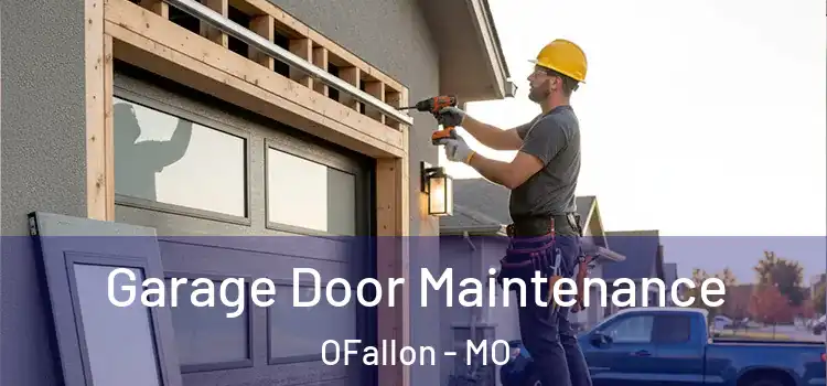 Garage Door Maintenance OFallon - MO