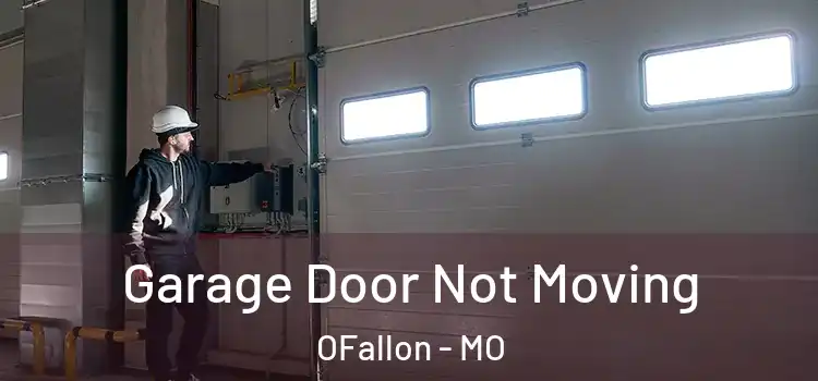  Garage Door Not Moving OFallon - MO