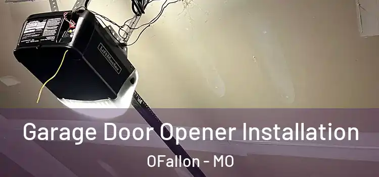  Garage Door Opener Installation OFallon - MO