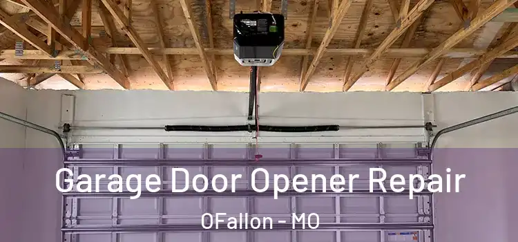  Garage Door Opener Repair OFallon - MO