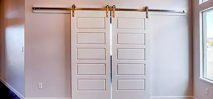 Glass Barn Door with Installation Hardware Kit OFallon