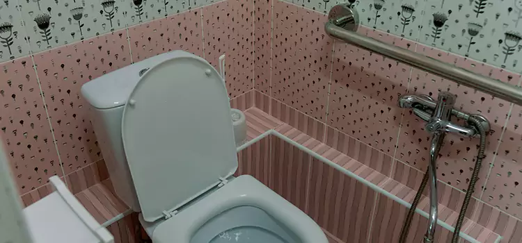 Meeting Diverse Needs With Accessible Restroom Solutions in OFallon, MO