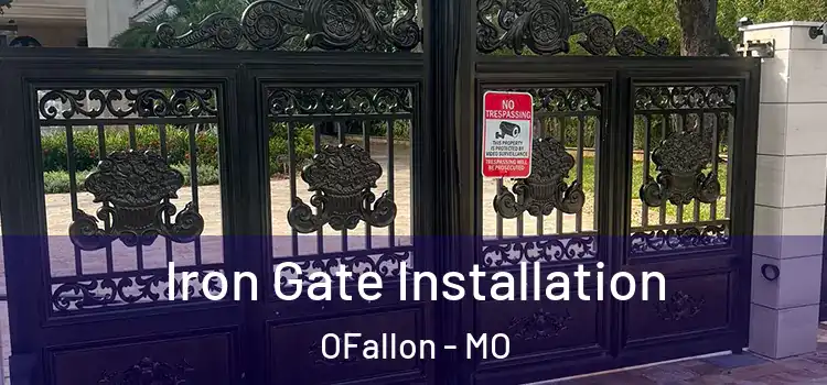 Iron Gate Installation OFallon - MO