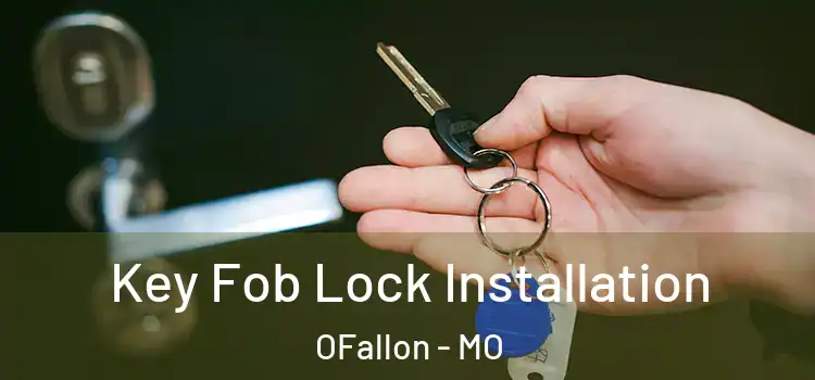  Key Fob Lock Installation OFallon - MO