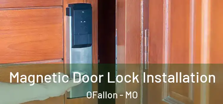  Magnetic Door Lock Installation OFallon - MO