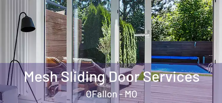 Mesh Sliding Door Services OFallon - MO
