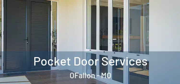 Pocket Door Services OFallon - MO