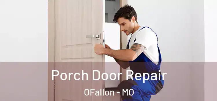  Porch Door Repair OFallon - MO