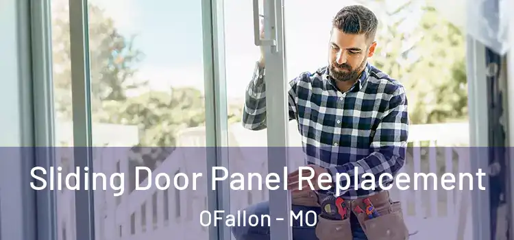  Sliding Door Panel Replacement OFallon - MO