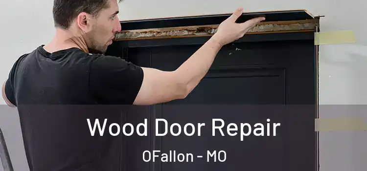 Wood Door Repair OFallon - MO
